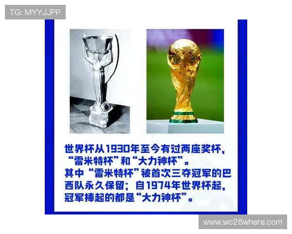 10年世界杯决赛背后的故事：场上场下的精彩细节揭秘
