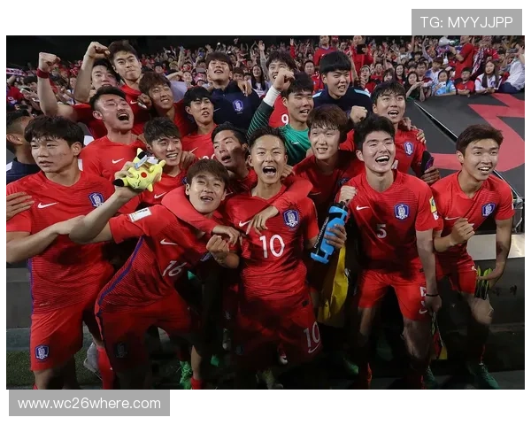 世界杯亚洲预选赛：主场优势对比赛结果的影响深度探讨