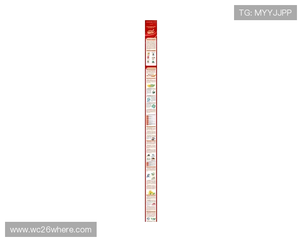 中国申办2026年世界杯的国际合作与政策支持分析