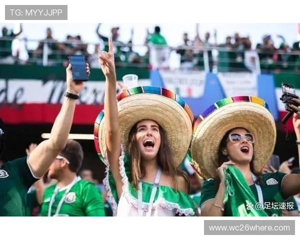 卡塔尔世界杯球迷的购票攻略,如何轻松获取心仪比赛的入场券 卡塔尔世界杯球迷的购票攻略,如何轻松获取心仪比赛的入场券
