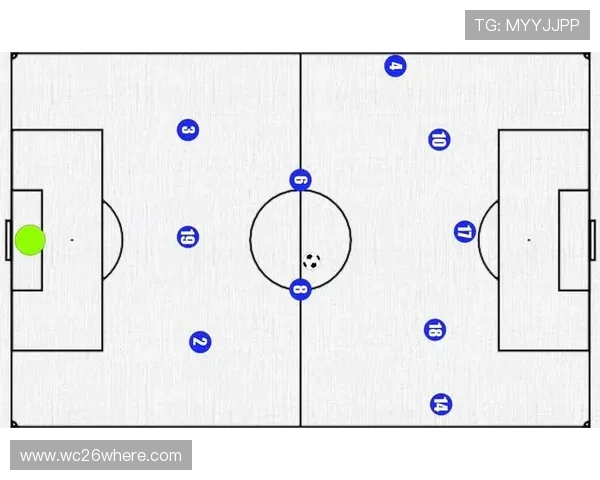 德国对日本在世界杯中的表现预测：战术分析与胜负可能性探讨