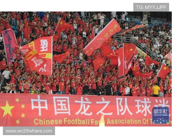 2026年女足世界杯举办地点及场馆详细介绍与交通指南