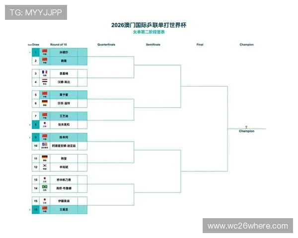 世界杯预选赛赛程安排最新更新，详细解析各国比赛时间与赛程规划