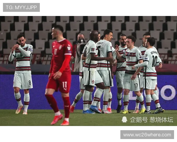 2026年欧洲区世界杯积分榜最新动态，全面了解各队积分排名及晋级形势分析