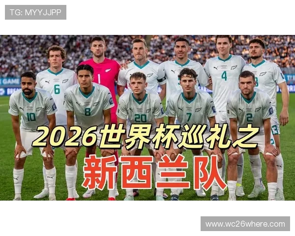 世界杯新西兰对阵埃及球队阵容详细分析与战术特点解析