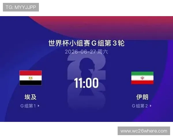 世界杯期间埃及与伊朗比赛反赌球警示信息及应对策略
