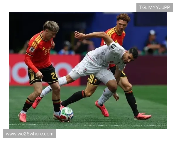 世界杯比利时对阵伊朗小组赛关键战全场战况分析与赛后点评